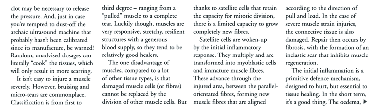 Kate Hesse, equine physiotherapy Pacemaker article