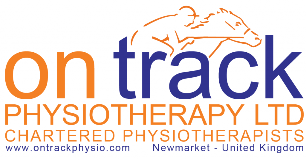 chartered physiotherapists specialising in veterinary physiotherapy