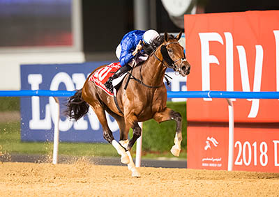 Thunder Snow, two-time winner of the Dubai World Cup, 2018 and 2019 - courtesy of Erika Rasmussen