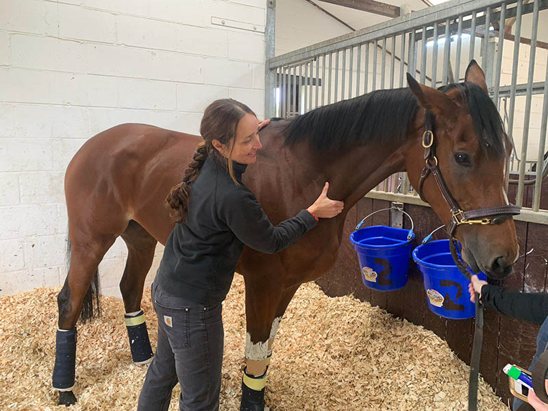 Enable has a rub down on returning from the Arc in October 2020