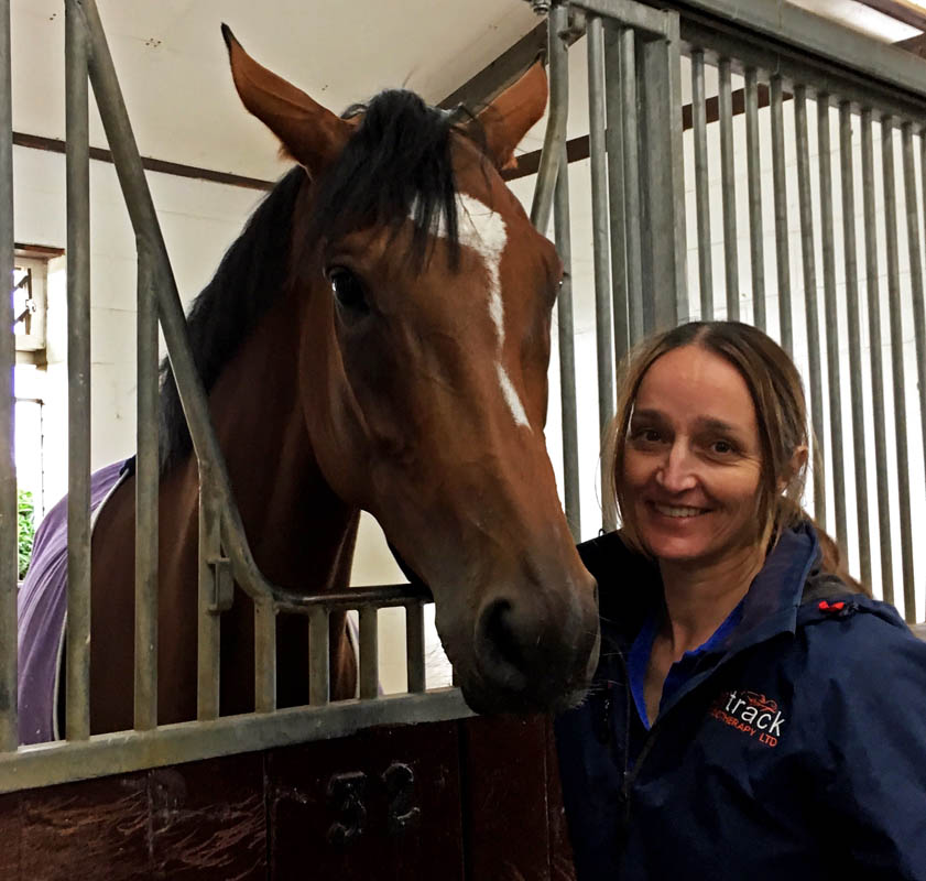 On Track Physiotherapy Ltd Chartered Veterinary Physiotherapists On Track Physiotherapy Ltd Chartered Veterinary Physiotherapists