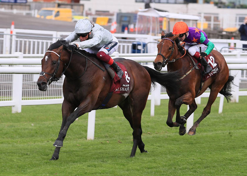 Palace Pier winning the Lockinge in 2021 with Lady Bowthorpe a gallant second.