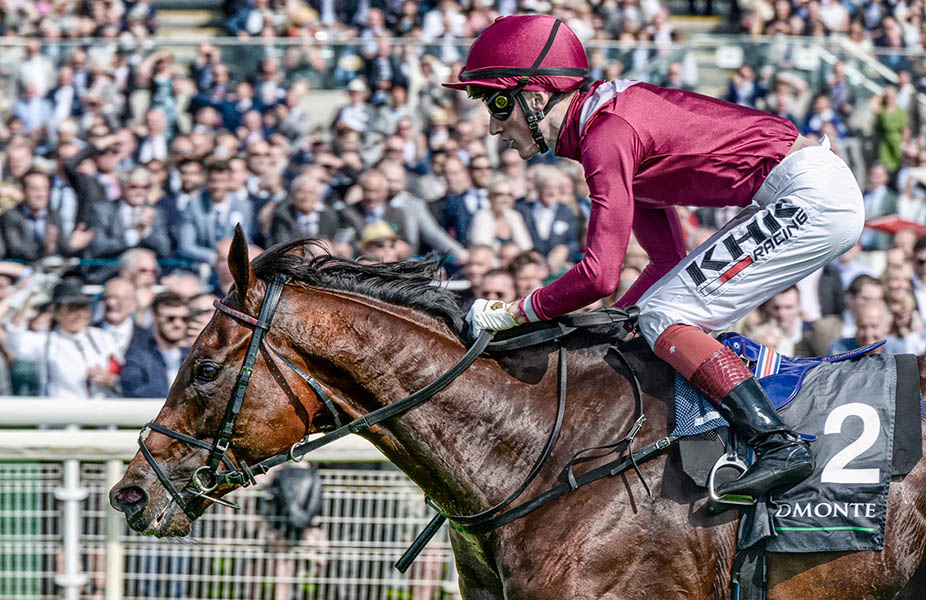 Globetrotting Mishriff, World’s Best Turf Horse 2021, with prize earnings close to £12 million. His glittering CV includes the Saudi Cup (2021), Dubai Sheema Classic (2021), Juddmonte International (2021), and French Derby (2020).