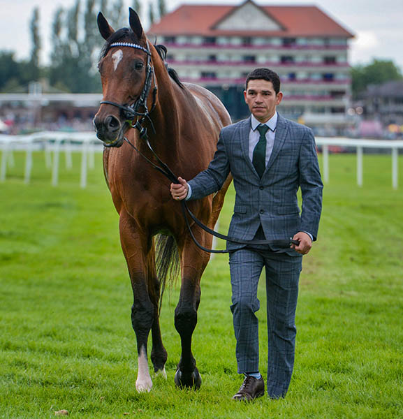 Nashwa and Ben De Paiva at York (Courtesy of Michael Harris)